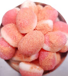Li Hing Strawberry Puff