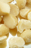 12 oz Macadamia Nuts (Salted)